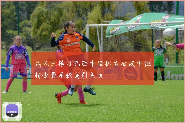 武汉三镇与巴西中场林肯洽谈中但转会费用较高引关注